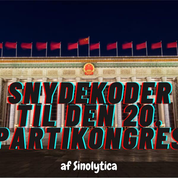 Snydekoder til den 20. Partikongres